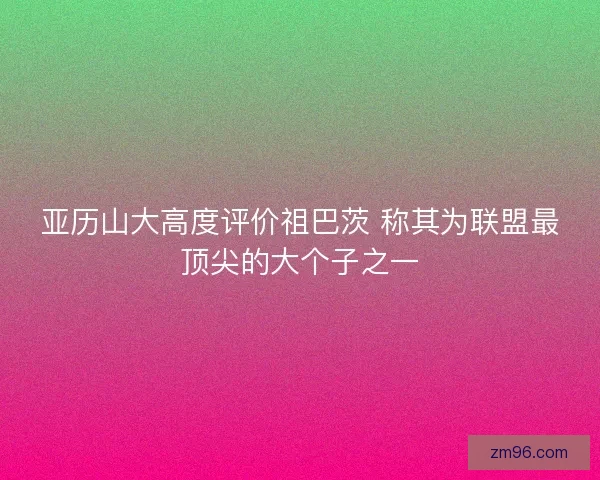 亚历山大高度评价祖巴茨 称其为联盟最顶尖的大个子之一