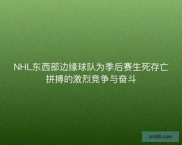 NHL东西部边缘球队为季后赛生死存亡拼搏的激烈竞争与奋斗