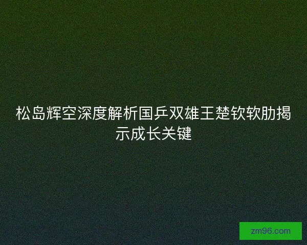 松岛辉空深度解析国乒双雄王楚钦软肋揭示成长关键